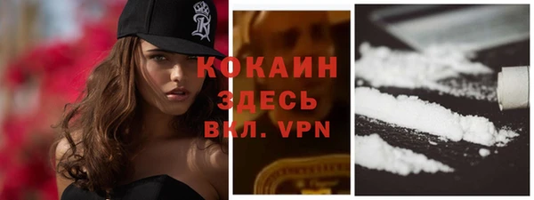 хмурый Семилуки