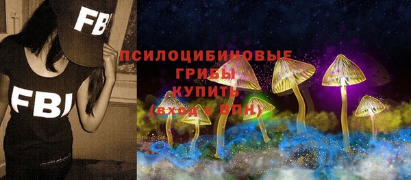 дмт Гусиноозёрск
