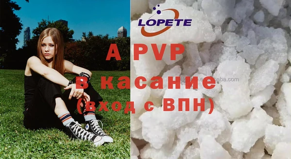 сатива Гусь-Хрустальный