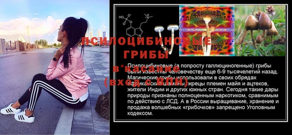 сатива Гусь-Хрустальный
