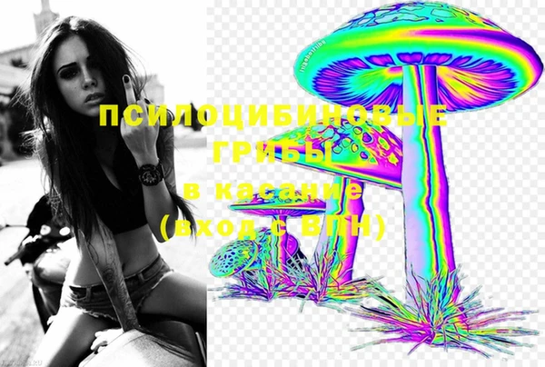 сатива Гусь-Хрустальный