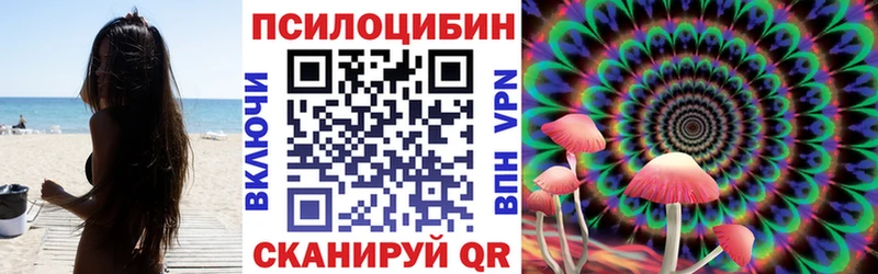 Псилоцибиновые грибы Psilocybine cubensis  Москва 