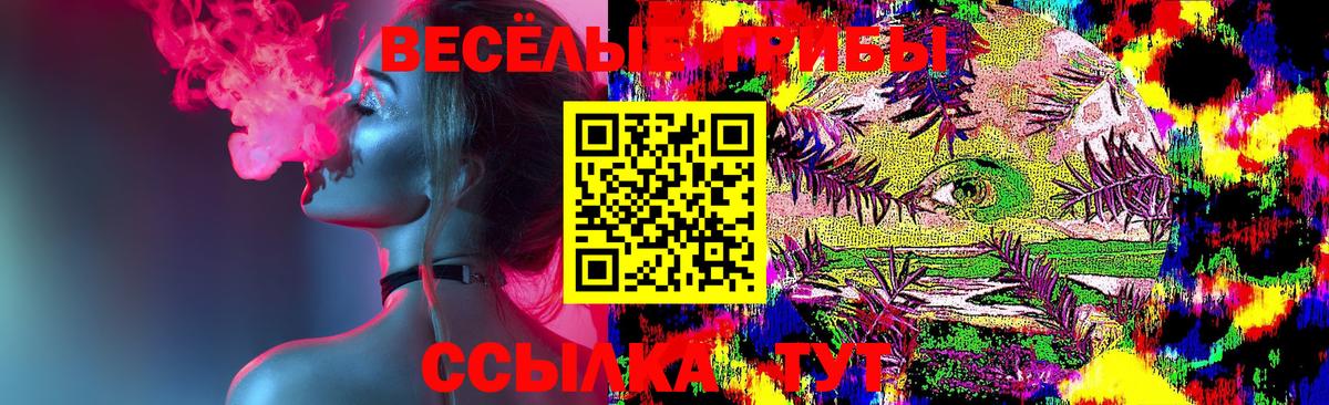 Псилоцибиновые грибы Cubensis  Галлюциногенные грибы ЛСД  Москва  Вход с VPN 